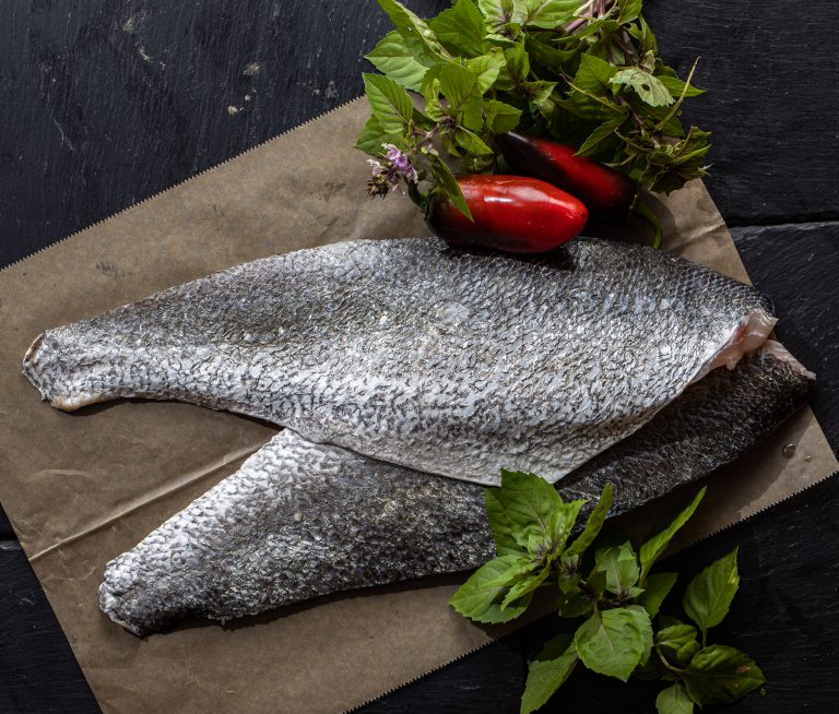 פילה מוסר ים טרי