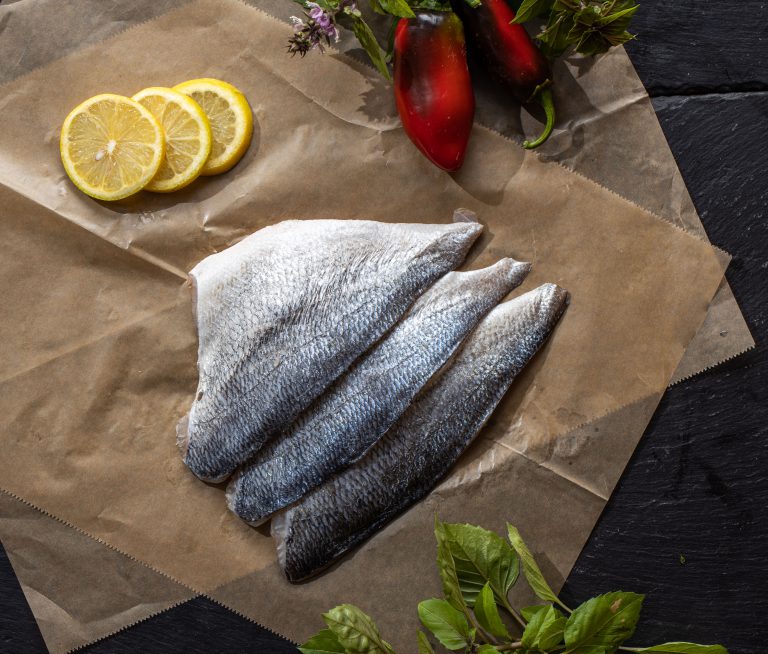 פילה דניס טרי