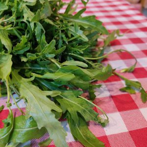 אורוגולה/רוקט